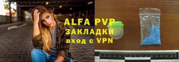 ГАЛЛЮЦИНОГЕННЫЕ ГРИБЫ Богданович