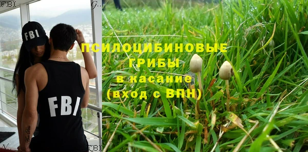 ГАЛЛЮЦИНОГЕННЫЕ ГРИБЫ Богданович