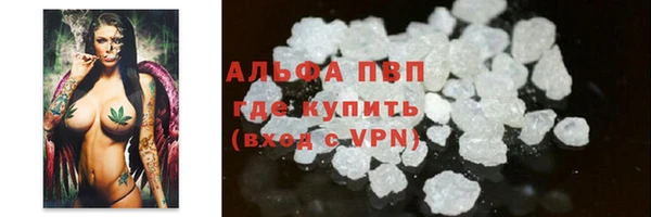 ГАЛЛЮЦИНОГЕННЫЕ ГРИБЫ Богданович