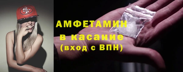 ГАЛЛЮЦИНОГЕННЫЕ ГРИБЫ Богданович