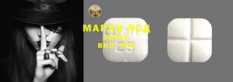 ГАЛЛЮЦИНОГЕННЫЕ ГРИБЫ Богданович