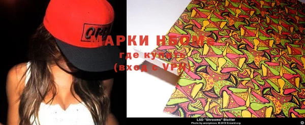 ГАЛЛЮЦИНОГЕННЫЕ ГРИБЫ Богданович