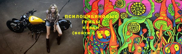 ГАЛЛЮЦИНОГЕННЫЕ ГРИБЫ Богданович
