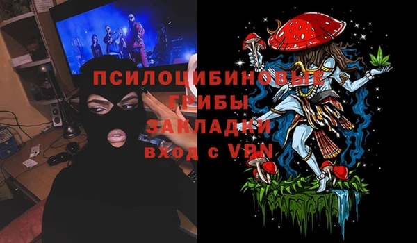 ГАЛЛЮЦИНОГЕННЫЕ ГРИБЫ Богородск