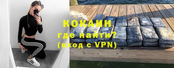 ГАЛЛЮЦИНОГЕННЫЕ ГРИБЫ Богданович