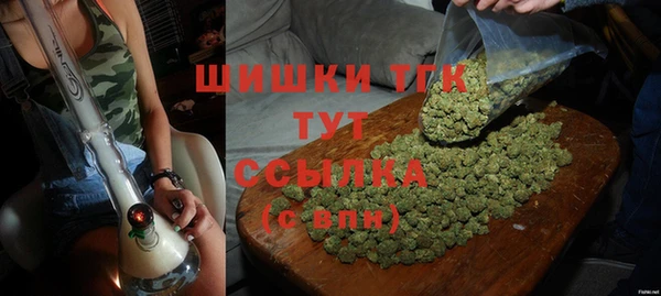 ГАЛЛЮЦИНОГЕННЫЕ ГРИБЫ Богданович