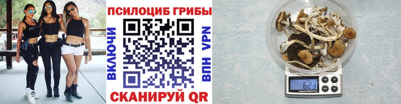 Псилоцибиновые грибы Magic Shrooms  Саяногорск 