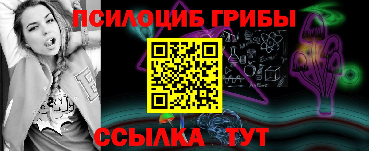 Псилоцибиновые грибы прущие грибы Саяногорск